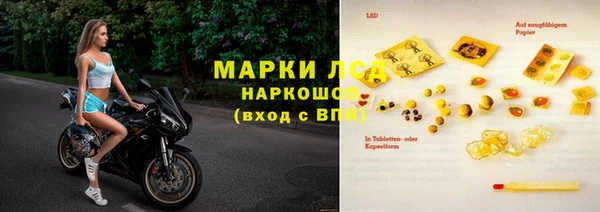 гашик Алзамай