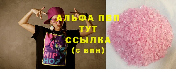 прущие грибы Абинск