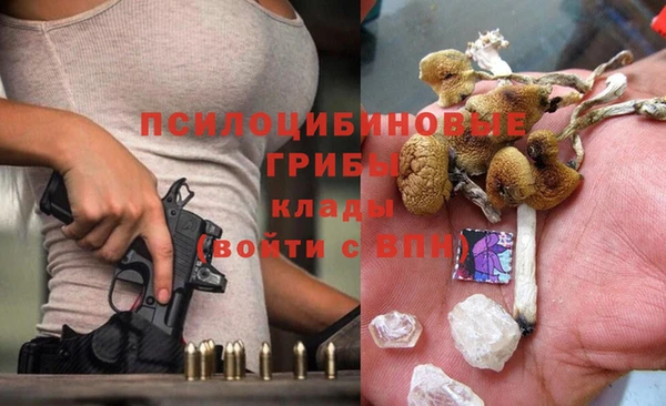 дживик Алексин