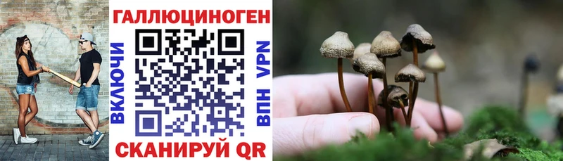 OMG ссылки  Красноармейск  Псилоцибиновые грибы прущие грибы  магазин продажи  
